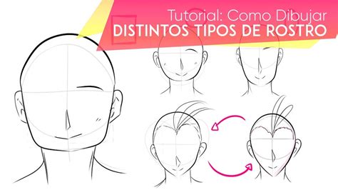 senos para dibujar|Sutori: Como dibujar distintos tipos de senos